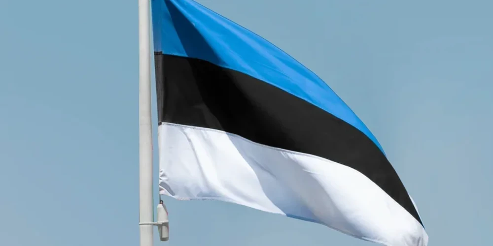 Маргус Цахкна розповів про внесок Естонії та призначення коштів